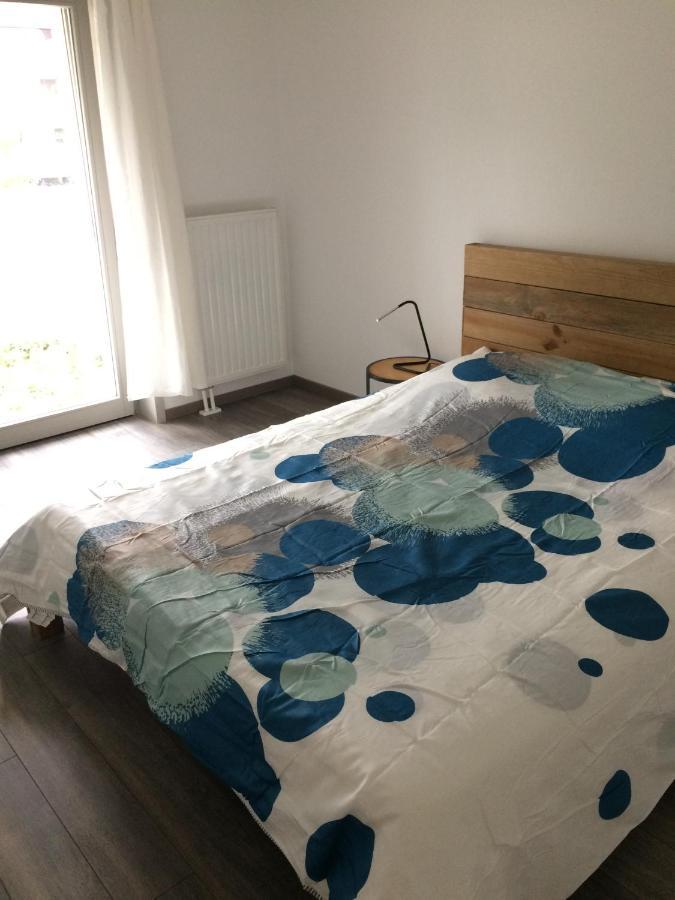 F2 Cote Ugc Climatise Plein Centre Parking Gratuit Apartment Strasbourg Luaran gambar